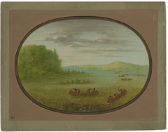 Gathering Wild Rice - Winnebago by George Catlin