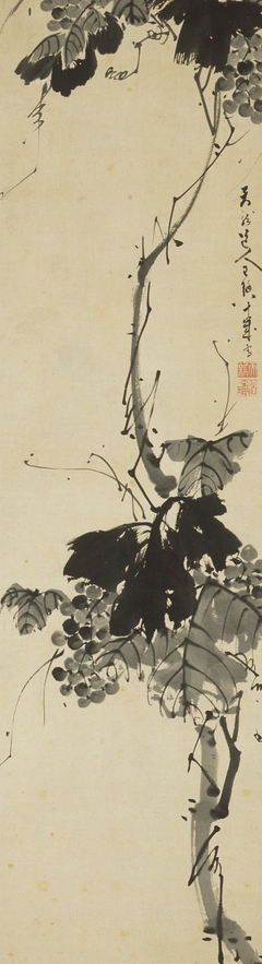 Grapevine by Tenryū Dōjin