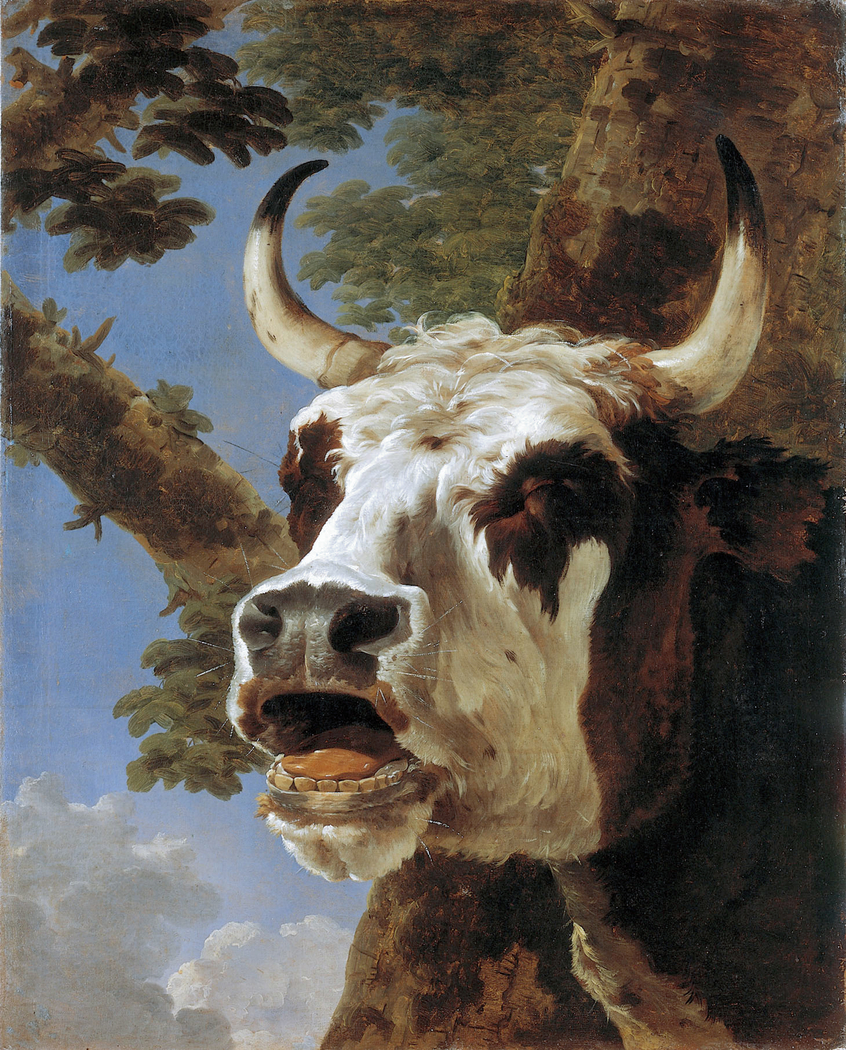 Head of a lowing Ox