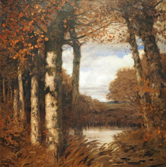 Herbst im Moor by Hans am Ende