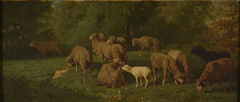 Moutons by Charles Jacque