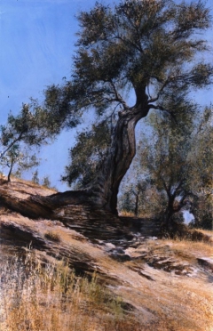 OLIVE TREE II by Chryssa Verghi
