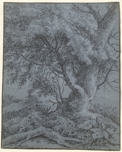 Oude boom op een heuvelrand by Simon de Vlieger