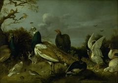 Peacocks, Ducks and other Animals by Gijsbert d'Hondecoeter