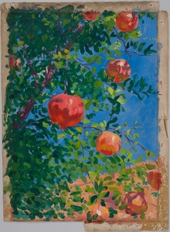Pomegranates, Granada by Robert David Gauley