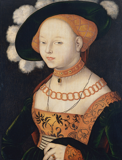 Portrait of a Lady by Hans Baldung