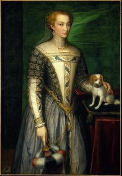 Portrait of a Woman by Bernardino Campi