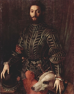 Portrait of Guidobaldo II della Rovere by Agnolo Bronzino