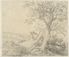 Schets van een landschap met drie bomen by Anthonie Waterloo