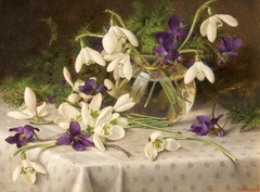 Snowdrops and Violets by Eva Francis