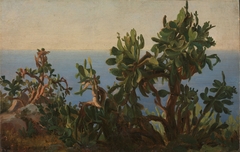 Study of Cactus by Thomas Fearnley