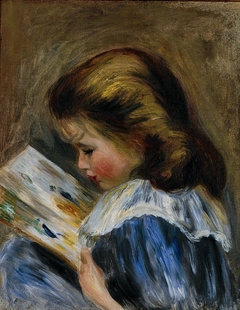 The Picture Book by Auguste Renoir