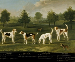 Two Couples of Hounds in a Park Landscape with two Terriers by Francis Sartorius
