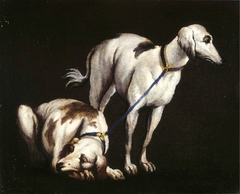 Two Greyhounds by Anonymous