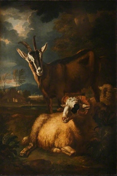 Two Rams, a Sheep and a Goat