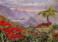 View of the Jesuit College of Caracas, Minas Geraes, Brazil by Marianne North