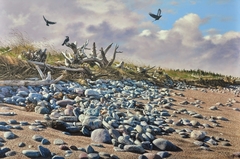WASHED UP (Sandy Point Beach)   Acrylic    24 x 36   2022 by Brian LaSaga