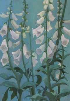 white foxgloves by Thelma Chambers